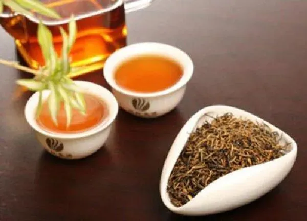 植物浇水|茶水可以浇菜吗