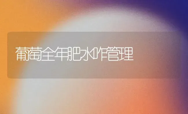 葡萄全年肥水咋管理 | 瓜果种植