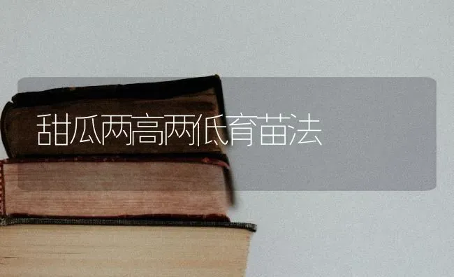 甜瓜两高两低育苗法 | 瓜果种植