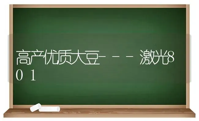 高产优质大豆---激光801 | 粮油作物种植
