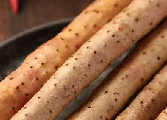 食用须知|山药变黄了还能吃吗 山药放久了变黄可以吃吗