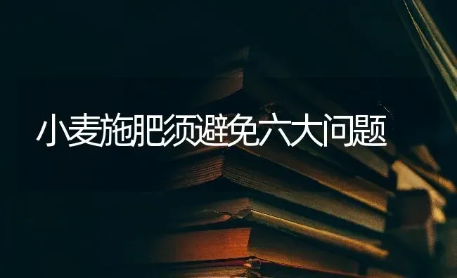 小麦施肥须避免六大问题 | 粮油作物种植