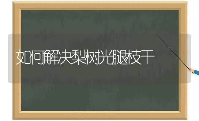 如何解决梨树光腿枝干 | 瓜果种植