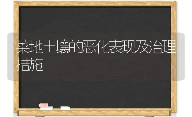 菜地土壤的恶化表现及治理措施 | 蔬菜种植