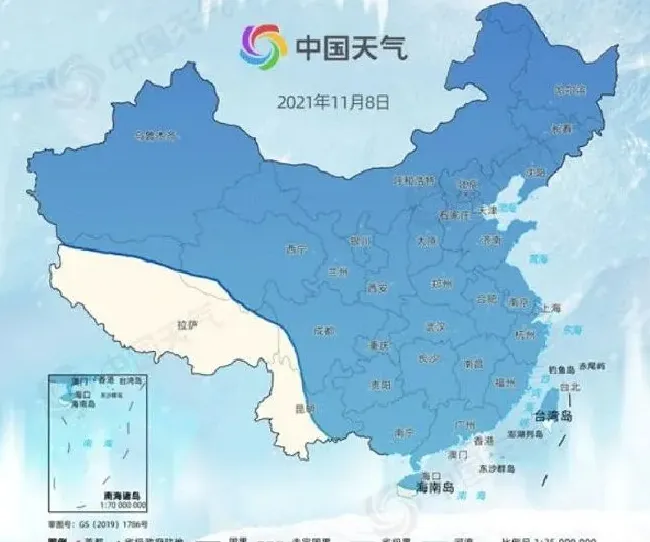 冬天植物|又是一股寒潮来袭 局地降温16℃以上