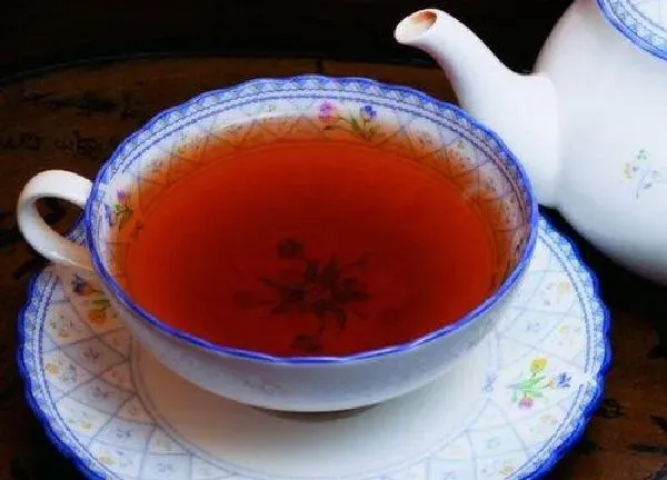 植物浇水|茶水可以浇菜吗