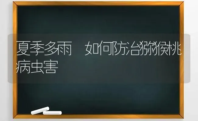 夏季多雨 如何防治猕猴桃病虫害 | 种植病虫害防治