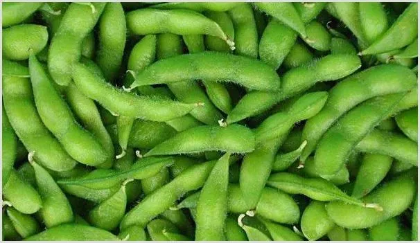 毛豆的种植方法和时间 | 农业技术