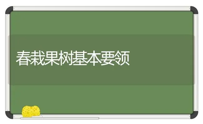 春栽果树基本要领 | 瓜果种植