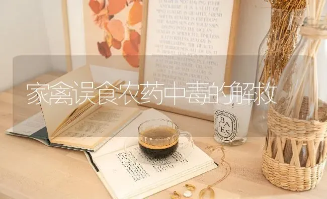 家禽误食农药中毒的解救 | 种植病虫害防治