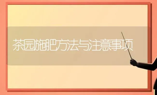 茶园施肥方法与注意事项 | 种植肥料施肥