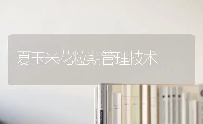夏玉米花粒期管理技术 | 粮油作物种植