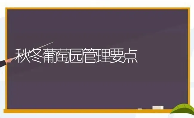 秋冬葡萄园管理要点 | 瓜果种植