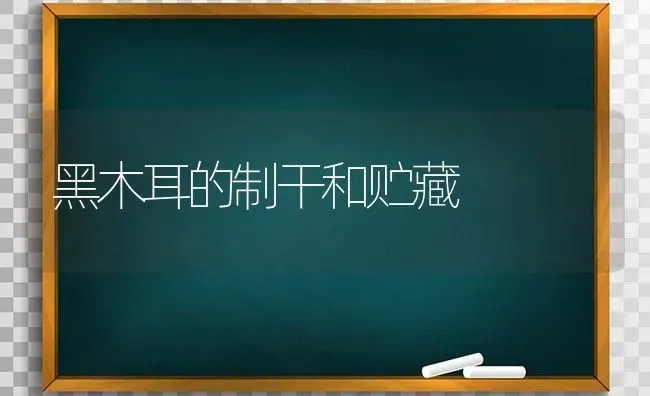 黑木耳的制干和贮藏 | 食用菌种植