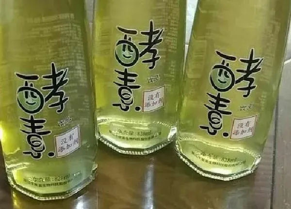 植物浇水|酵素可以浇多肉吗