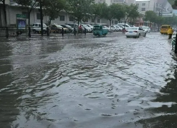 植物浇水|河南平顶山暴雨亲历者:没看到雨停不敢睡觉