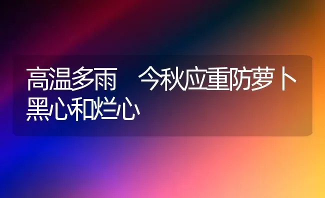 高温多雨 今秋应重防萝卜黑心和烂心 | 蔬菜种植