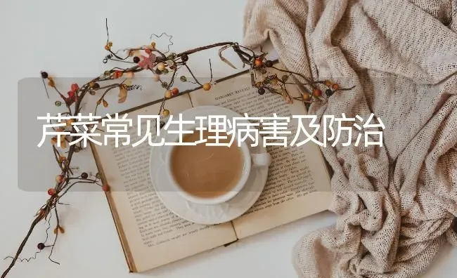 芹菜常见生理病害及防治 | 蔬菜种植