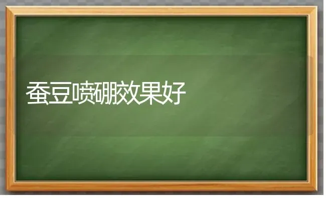 蚕豆喷硼效果好 | 瓜果种植