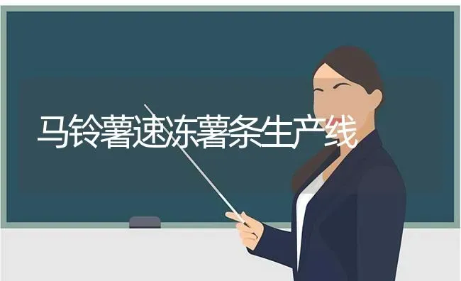 马铃薯速冻薯条生产线 | 粮油作物种植