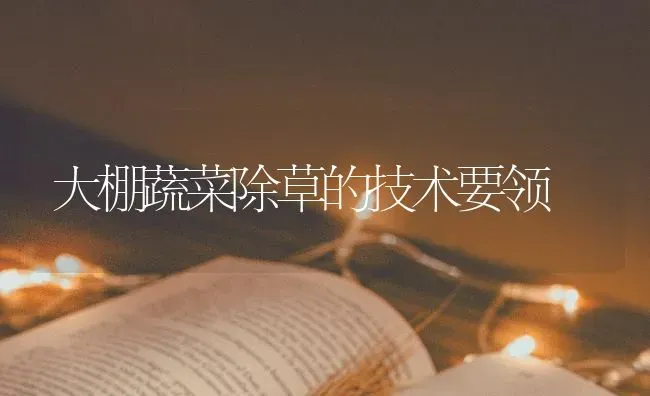 大棚蔬菜除草的技术要领 | 蔬菜种植
