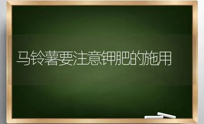马铃薯要注意钾肥的施用 | 粮油作物种植