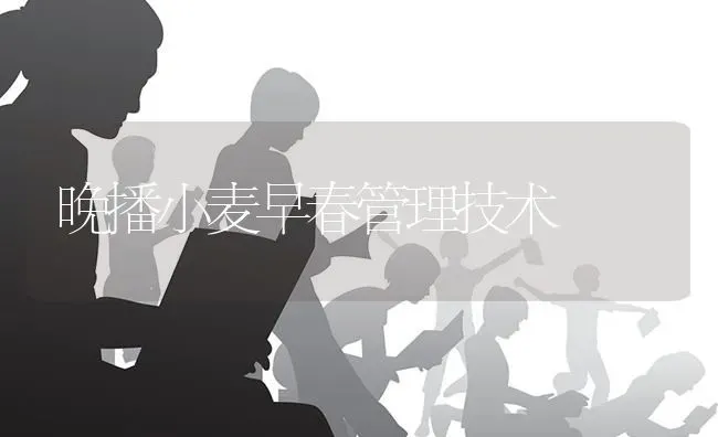 晚播小麦早春管理技术 | 粮油作物种植