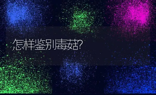 怎样鉴别毒菇？ | 食用菌种植