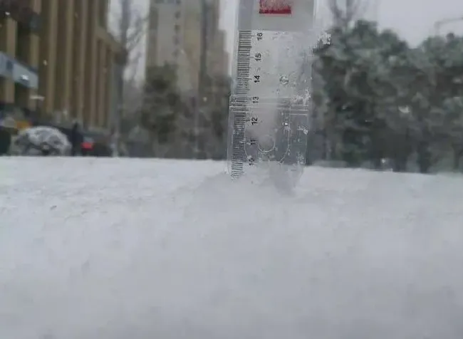 冬天植物|湖南大雪多地宣布停课放假（因为下大雪学校通知停课）