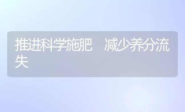 推进科学施肥 减少养分流失 | 种植肥料施肥