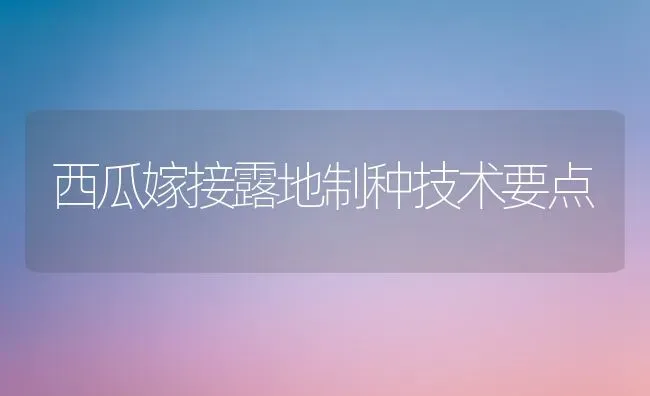 西瓜嫁接露地制种技术要点 | 瓜果种植