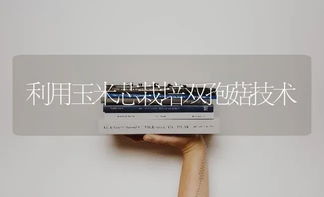 利用玉米芯栽培双孢菇技术 | 食用菌种植