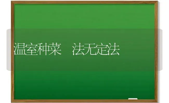 温室种菜 法无定法 | 蔬菜种植