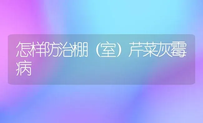 怎样防治棚（室）芹菜灰霉病 | 蔬菜种植