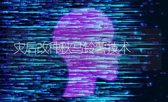 灾后改种秋马铃薯技术 | 粮油作物种植
