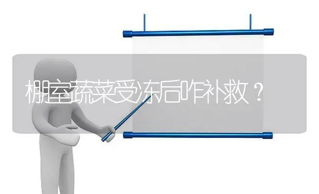 棚室蔬菜受冻后咋补救？ | 蔬菜种植