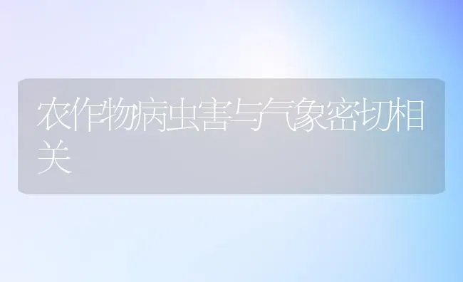 农作物病虫害与气象密切相关 | 种植病虫害防治