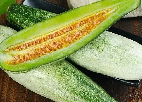 植物产地|羊角蜜甜瓜原产地在哪里