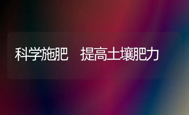 科学施肥 提高土壤肥力 | 种植肥料施肥