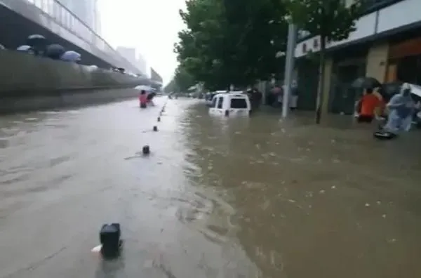 植物浇水|河南平顶山暴雨亲历者:没看到雨停不敢睡觉