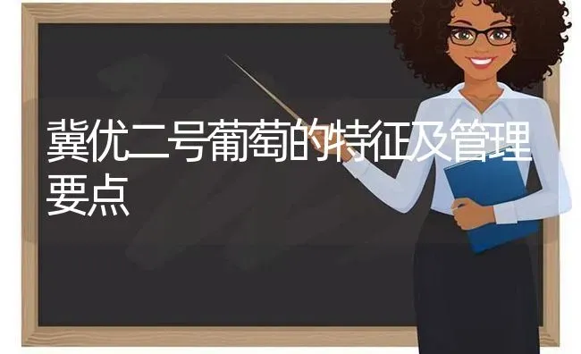 冀优二号葡萄的特征及管理要点 | 瓜果种植