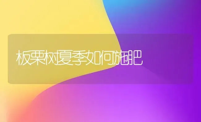 菠菜播前浸种出苗快 | 蔬菜种植
