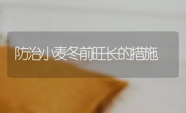 防治小麦冬前旺长的措施 | 粮油作物种植