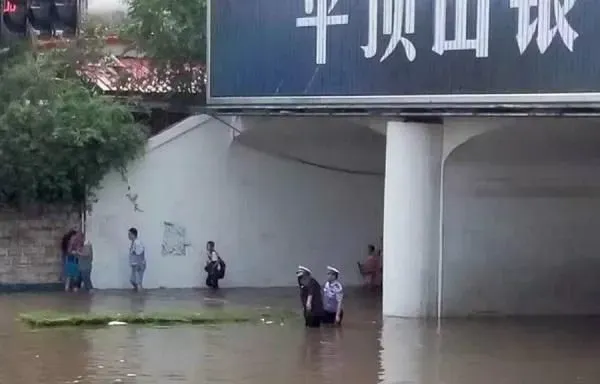 植物浇水|河南平顶山暴雨亲历者:没看到雨停不敢睡觉