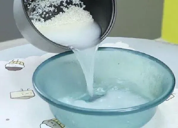 植物浇水|淘米水浇花有什么好处和坏处 洗米水正确使用方法