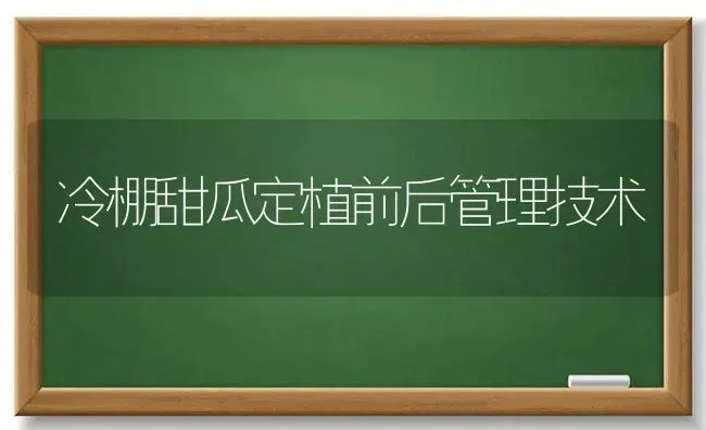 冷棚甜瓜定植前后管理技术 | 瓜果种植