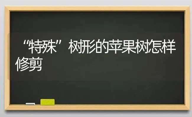 “特殊”树形的苹果树怎样修剪 | 瓜果种植