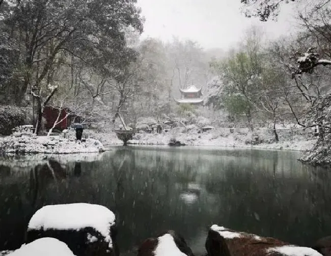 冬天植物|湖南大雪多地宣布停课放假（因为下大雪学校通知停课）