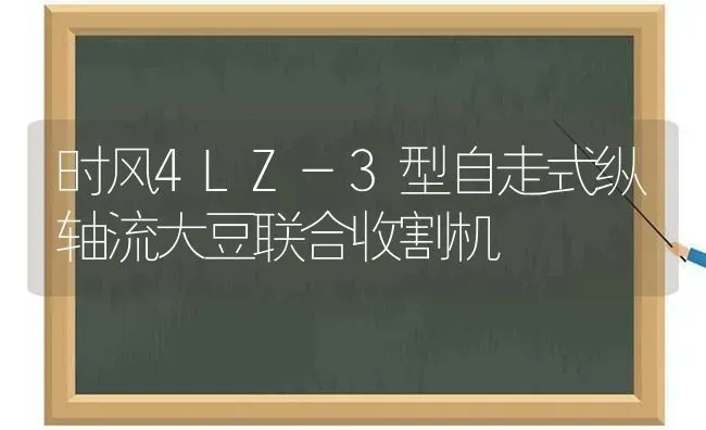 时风4LZ-3型自走式纵轴流大豆联合收割机 | 粮油作物种植