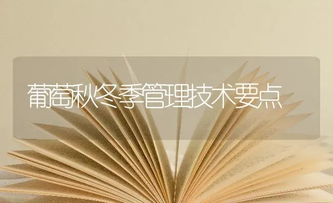 葡萄秋冬季管理技术要点 | 瓜果种植